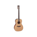 GUITARRA TAKAMINE New Yorker Electro