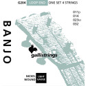 Juego Banjo Galli G-204