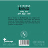 Juego Banjo 5 Cuerdas Galli G-210
