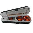 Violín Gaudieri HD-V21 1/2