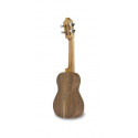Cavaquinho APC Carrilhao 101