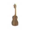 Cavaquinho APC Carrilhao 101