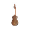 Cavaquinho APC Carrilhao ½ Tapa Palosanto 103