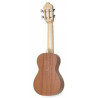 Braguinha Madeirense APC 555