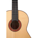 Guitarra Flamenca Altamira N700F+