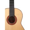 Guitarra Flamenca Altamira N700F+
