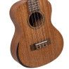 Ukelele Concert Bones SP310C Caoba Sólida