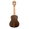 Ukelele Concert Bones SP360C Abeto Solida