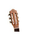 Guitarlele Bones SP420G Abeto