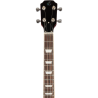 Ukelele Tenor Flight Rock Series Pioneer CR