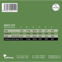 Juego Galli Acústica Gypsy Jazz GSL-11 (011-047)