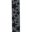 Correa D'Addario 50BAL14 Auto Lock Skater Estrellas