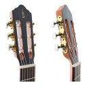 Guitarra Flamenca APC 5F