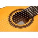 Guitarra Flamenca APC 5F