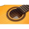 Guitarra Flamenca APC 5F