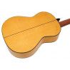 Guitarra Flamenca APC 5F