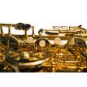 Saxo Barítono Taylor Collins TCBS-110 Lacado