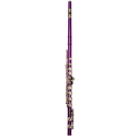 Flauta Travesera Taylor Collins TCFL-538PR Platos cerrados Púrpura