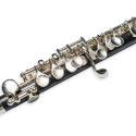 Flautín Piccolo Taylor Collins TCPC-703 ðbano