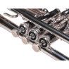 Trompeta Taylor Collins TCTR-01HD Plateada en Sib