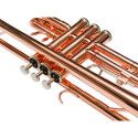 Trompeta Taylor Collins TCTR-01RB Lacada rosa en Sib