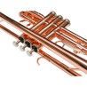 Trompeta Taylor Collins TCTR-01RB Lacada rosa en Sib