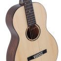 Guitarra Acústica Recording King RP-G6 Tapa sólida acabado Natural