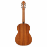 Guitarra Clásica Bones BPT-100
