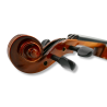 Violín 3/4 Gaudieri HD-V00