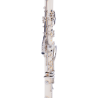 Clarinete Sib Taylor Collins TCCL-01WH ABS Blanco