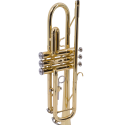 Trompeta en Sib Taylor Collins TCTR-01 L