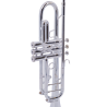 Trompeta en Sib Taylor Collins TCTR-01S