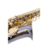 Saxo Alto Taylor Collins TCAS-05 Negro Plateado Gravado LLaves Doradas