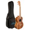 Ukelele Tenor Lanikai ACST-T Acacia Solid Top