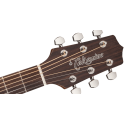 GUITARRA TAKAMINE GD20 DREADNOUGHT - SATIN NATURAL
