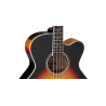 BAJO TAKAMINE ACOUSTIC GB72 E/A CUTWAY - BROWN SUNBURST