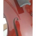 Cello Gliga Genial II 4/4 set (B-stock nº 170) 4/4