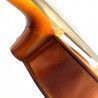 "Viola Stentor Student II SH 16"" set (B-stock nº 207)"