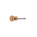 GUITARRA TAKAMINE New Yorker Electro