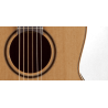 GUITARRA TAKAMINE New Yorker Electro
