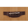 GUITARRA TAKAMINE New Yorker Electro
