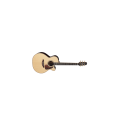PRO SERIES 7 E/A AUDITORIUM CUTWAY - NATURAL