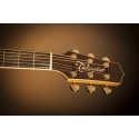 PRO SERIES 7 E/A AUDITORIUM CUTWAY - NATURAL