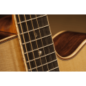 PRO SERIES 7 E/A AUDITORIUM CUTWAY - NATURAL
