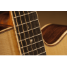 PRO SERIES 7 E/A AUDITORIUM CUTWAY - NATURAL