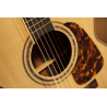 PRO SERIES 7 E/A AUDITORIUM CUTWAY - NATURAL