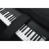 SOFTCASE TECLADO 49 NOTAS ""GATOR GK