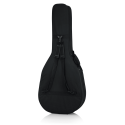 GUITARRA ACÚSTICA / LIGHTWEIGHT - JUMBO