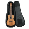 FUNDA UKELELE CONCERT ""GATOR NYLON 4G