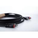 Cable de audio dual Rca/Rca 6 m